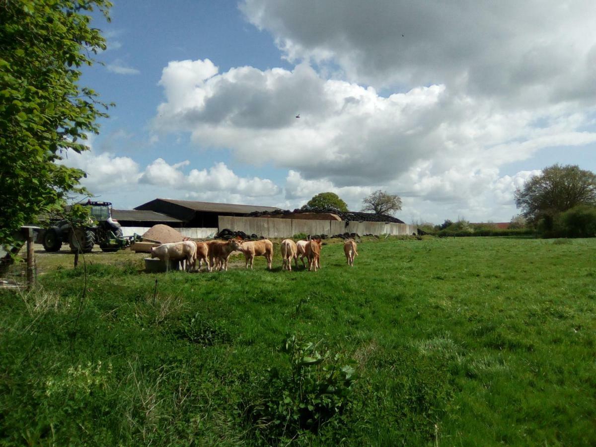 La Ferme De La Baconnerie Villa Sainte-Marguerite-d'Elle ภายนอก รูปภาพ